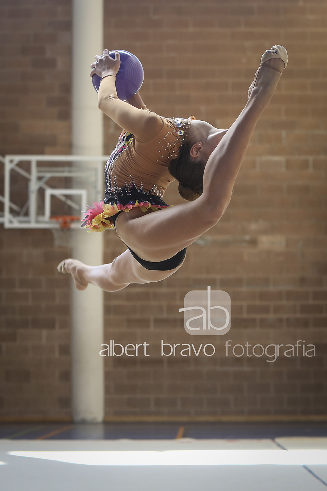 BravoFoto.com©2015 FGIB-IMG_7190