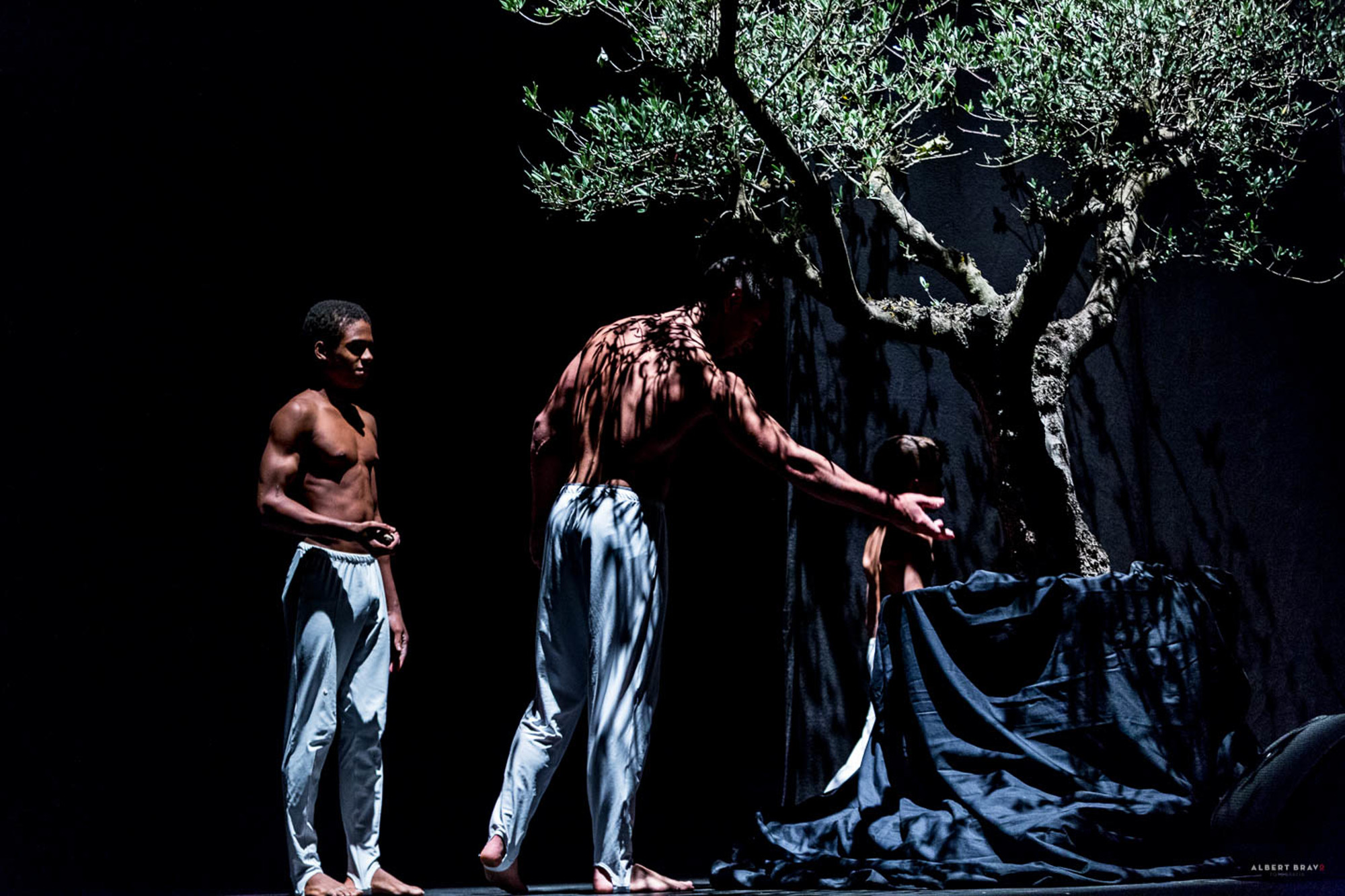 Homenatge Andreu Vivó. Albert Bravo Fotografia©2016-_MG_2273